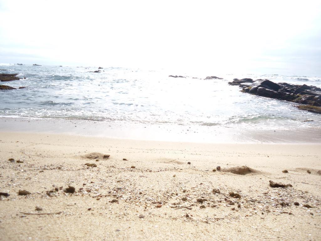 Masha Beach Inn Tangalle Eksteriør bilde